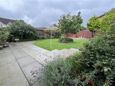 Picture 20